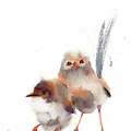 Wren Birds art print Painting by Paintis Passion Wren Birds art print Painting by Paintis Passion