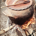 Yabba Pot Forever Photograph by Esoteric Gardens KN Yabba Pot Forever Photograph by Esoteric Gardens KN