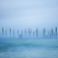 Yarra Valley Mist Photograph by Vicki Walsh Yarra Valley Mist Photograph by Vicki Walsh