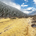 Yellow Brick Road by Brian Kamprath