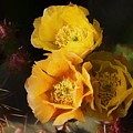 Yellow cactus flowers Mixed Media by Tatiana Travelways Yellow cactus flowers Mixed Media by Tatiana Travelways