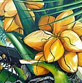 Yellow Coconuts by Karin Dawn Kelshall- Best Yellow Coconuts by Karin Dawn Kelshall- Best
