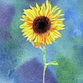 Yellow Flower Happy Sunflower On Blue Emerald Watercolor III Painting by Irina Sztukowski Yellow Flower Happy Sunflower On Blue Emerald Watercolor III Painting by Irina Sztukowski