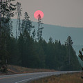 Yellowstone Pink Sunrise Photograph by Go and Flow Photos Yellowstone Pink Sunrise Photograph by Go and Flow Photos