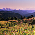 Yeti Photography - Manning Park Alpine Meadow by David Jennings