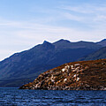 Yeti Photography - Windy Arm by David Jennings