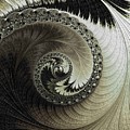 Yin and Yang #3 Digital Art by Mary Ann Benoit Yin and Yang #3 Digital Art by Mary Ann Benoit