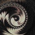 Yin and Yang Digital Art by Mary Ann Benoit Yin and Yang Digital Art by Mary Ann Benoit