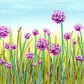 Yorktown Onion #8 by Velda Baglieri