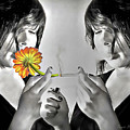 You Choose Photograph by Pennie McCracken You Choose Photograph by Pennie McCracken