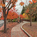 Yountville In Autumn Photograph by Jonathan Nguyen Yountville In Autumn Photograph by Jonathan Nguyen
