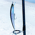 Yozuri Twitching Minnow Photograph by Blair Damson Yozuri Twitching Minnow Photograph by Blair Damson
