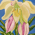 Yucca Flower Painting by Christina Wedberg Yucca Flower Painting by Christina Wedberg