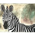 Zebra Painting by Pamela Schwartz Zebra Painting by Pamela Schwartz