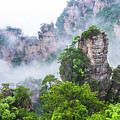 Zhangjiajie Tianzi Mountain Nature Reserve Photograph by Arj Munoz Zhangjiajie Tianzi Mountain Nature Reserve Photograph by Arj Munoz