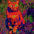 Zombie Cat Digital Art by Larry Beat Zombie Cat Digital Art by Larry Beat