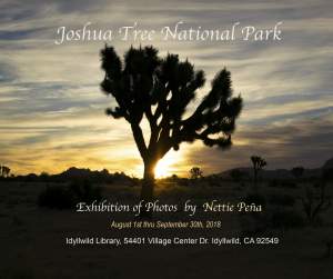 Exhibition of Photos of Joshua Tree National Park by Nettie Pena
