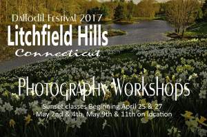 Daffodil Festival Spring 2017 Photo Workshops - Litchfield Connecticut