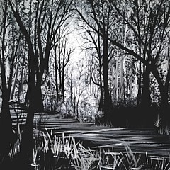 Ccccanvas - Artist