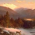 Clarke Gallery - Artist