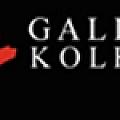 Gallery Kolkata - Artist