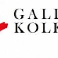 Gallerykolkata - Artist