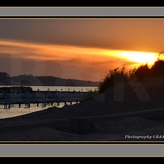 InstaViewpoint - Artist