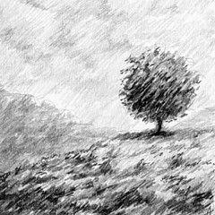 Alex D - Artist