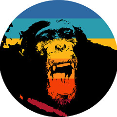 Vintage Chimp - Artist
