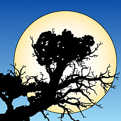 The Nature Gift Shop - Artist