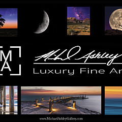 Michael Ashley Gallery - Artist