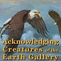 Acknowledging Creatures of the Earth - Artist
