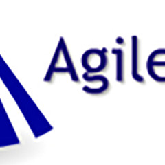 Agile Arts - Artist