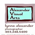 Alexander visual arts - Artist