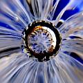Nick Van Zutphen-artfocus Photography - Artist