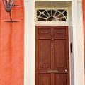Cardenia Fine Art Print Gallery - Artist