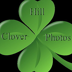 Clover Hill Photos - Artist