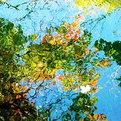 Mountain Sky Images - Artist Mountain Sky Images - Artist