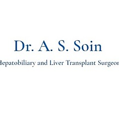 Dr Arvinder Singh Soin - Artist