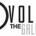 Evolve the Gallery - Artist