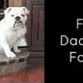 Fat Daddys Farm - Artist