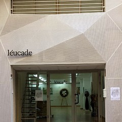 Galeria Leucade - Artist