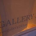Gallery 211 - Artist