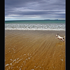 Gallery259 - Artist