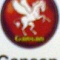 Gansan artists syndicate pvt ltd - Artist