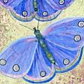 Inspiring Butterflies - Artist