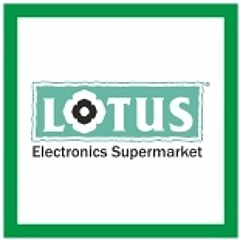 Lotus Electrnics - Artist