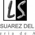 Luz Y Suarez Del Villar - Artist