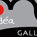 Medea Gallery - Artist