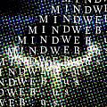 MINDWEB.us - Artist